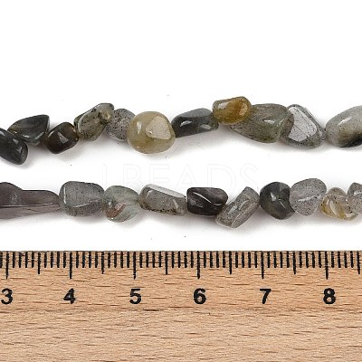 Natural Labradorite Beads Strands G-Q060-D02-1