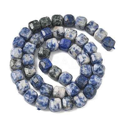 Natural Blue Spot Jasper Beads Strands G-C267-A20-1