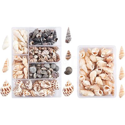 140Pcs 2 Style Natural Shell Beads SSHEL-FH0001-08-1