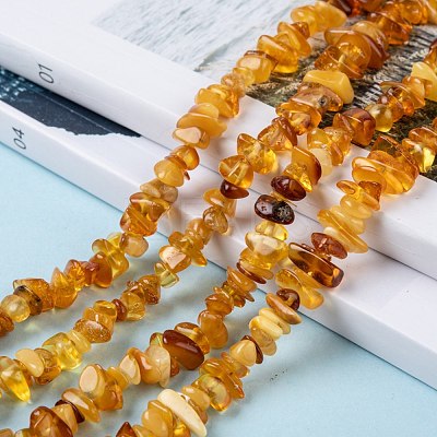 Natural Amber Chip Beads Strands X-G-E271-81-1