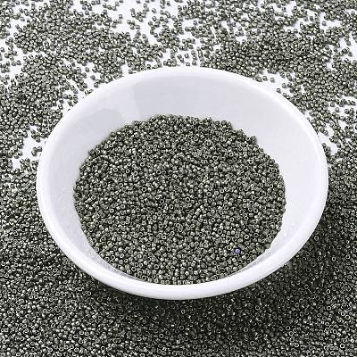 MIYUKI Delica Beads X-SEED-J020-DB1186-1