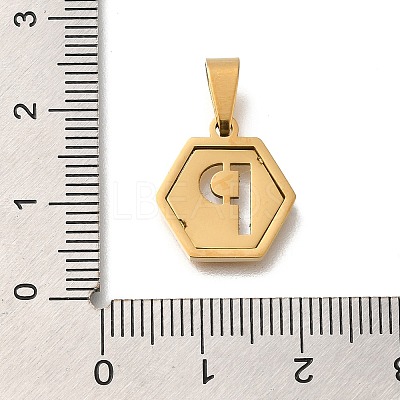 304 Stainless Steel Charms STAS-H227-01G-P-1