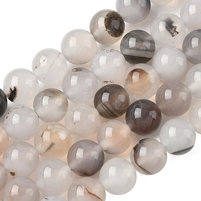 Natural Dendritic Agate Beads Strands G-C011-10mm-01-1