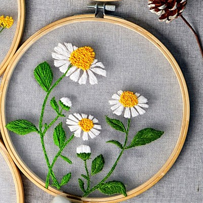 DIY Transparent Fabric Embroidery Kits DIY-K032-80-1