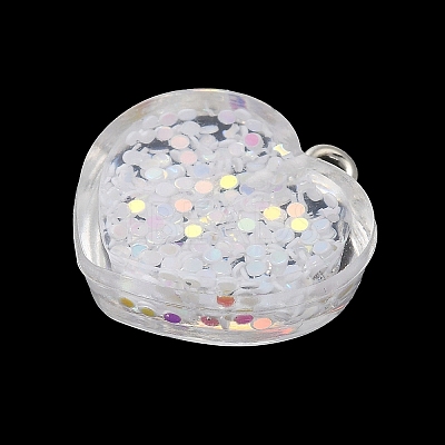 Acrylic Pendant OACR-H030-01B-1
