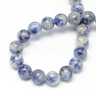 Natural Blue Spot Jasper Bead Strands G-R193-15-4mm-1