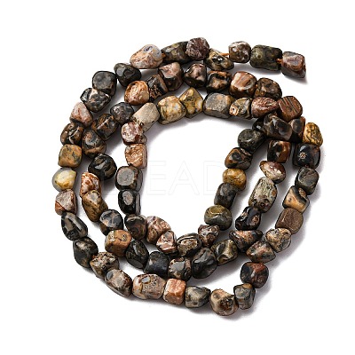 Natural Leopard Skin Jasper Beads Strands G-I389-A09-1