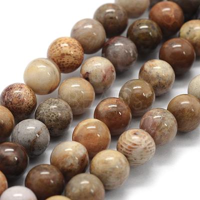 Natural Fossil Coral Beads Strands G-G763-12-6mm-1