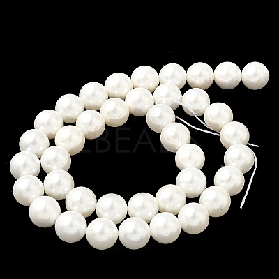 Shell Pearl Beads Strands BSHE-K015-10mm-03-1