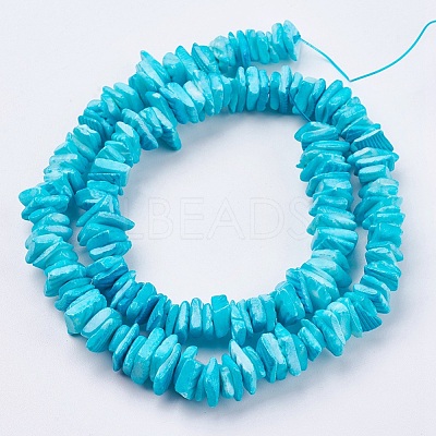 Natural Sea Shell Beads Strands X-BSHE-K012-08C-1