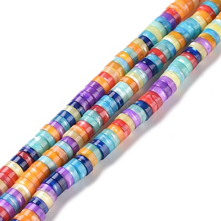 Natural Trochid Shell Beads Strands SSHEL-G023-02B-02-1