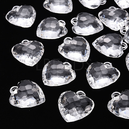 Transparent Acrylic Pendants X-TACR-T024-03B-205-1