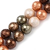 Faceted Round Shell Pearl Beads Strands BSHE-XCP0001-42-2