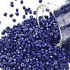 Cylinder Seed Beads SEED-H001-H06-1