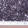 MIYUKI Round Rocailles Beads SEED-G007-RR0171-4