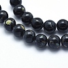 Sea Shell and Synthetic Turquoise Assembled Beads Strands G-G758-10-8mm-3