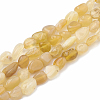 Natural Gold Rutilated Quartz Beads Strands G-S331-6x8-014-1