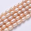 Natural Cultured Freshwater Pearl Beads Strands PEAR-R064-19-2