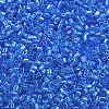 Glass Bugle Beads SEED-S032-10A-163B-3