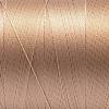 Nylon Sewing Thread NWIR-N006-01M1-0.2mm-2