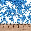 Baking Paint Glass Seed Beads X-SEED-S042-05B-76-4