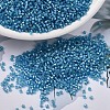 MIYUKI Delica Beads SEED-JP0008-DB1709-1