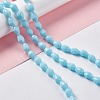 Faceted Glass Beads Strands GLAA-E037-01G-4