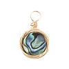 Natural Abalone Shell/Paua Shell Pendants PALLOY-JF00457-01-1