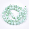 Natural Myanmar Jade/Burmese Jade Beads Strands X-G-T108-27B-2