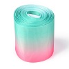 Gradient Rainbow Polyester Ribbon OCOR-G008-04E-1