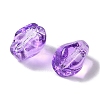 Baking Paint Glass Beads GLAA-S202-17G-2