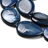 Dyed Natural Freshwater Shell Beads Strands BSHE-G034-24-4