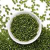 6/0 Glass Seed Beads X2-SEED-A005-4mm-24-2