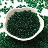 Transparent Colours Glass Seed Beads X1-SEED-P006-02A-09-2