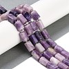 Natural Lepidolite Beads Strands G-M403-B35-03-2