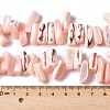 Dyed Natural Trochus Shell Beads Strands SSHEL-C013-09L-4