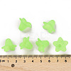 Transparent Acrylic Beads PLF018-05-4