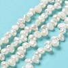 Natural Keshi Pearl Beads Strands PEAR-J007-48-2