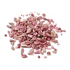 Natural Rhodonite Chip Beads G-O103-05B-2