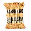 10 Skeins 6-Ply Polyester Embroidery Floss OCOR-K006-A29-1