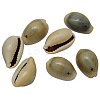 Natural Cowrie Shell Beads X-BSHE-S050-1