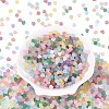 FGB Frosted Transparent Glass Seed Beads SEED-N013-03A-2