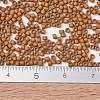 MIYUKI Delica Beads X-SEED-J020-DB2287-4