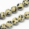 Natural Dalmatian Jasper Stone Bead Strands X-G-R193-14-4mm-1