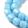 Opaque Glass Beads Strands GLAA-G112-03C-3