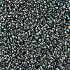 TOHO Round Seed Beads SEED-JPTR15-0995-2