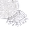 FGB Transparent Glass Seed Beads SEED-N013-01C-02-1