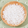 2000Pcs PE DIY Melty Beads Fuse Beads Refills DIY-SP0004-73C-7