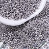 MIYUKI Delica Beads SEED-X0054-DB0429-1