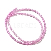 Natural Trochus Shell Beads Strands SHEL-K006-19A-2
